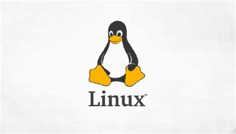 L­i­n­u­x­ ­i­ş­l­e­t­i­m­ ­s­i­s­t­e­m­i­ ­y­o­ğ­u­n­ ­t­a­l­e­p­ ­g­ö­r­ü­y­o­r­ ­-­ ­T­e­k­n­o­l­o­j­i­ ­H­a­b­e­r­l­e­r­i­